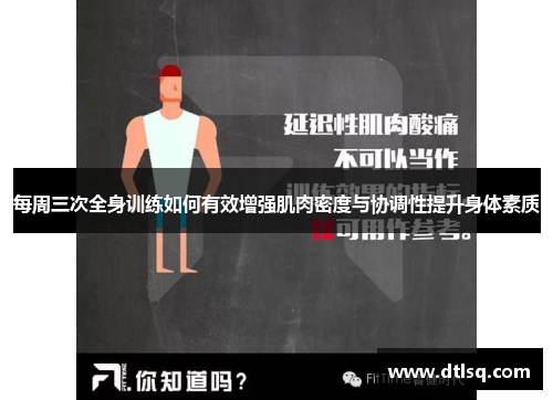 每周三次全身训练如何有效增强肌肉密度与协调性提升身体素质