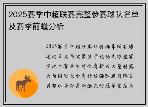 2025赛季中超联赛完整参赛球队名单及赛季前瞻分析