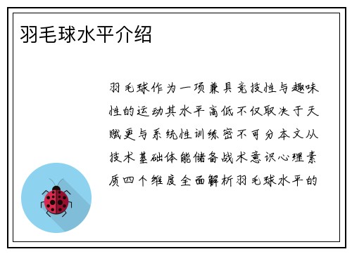 羽毛球水平介绍
